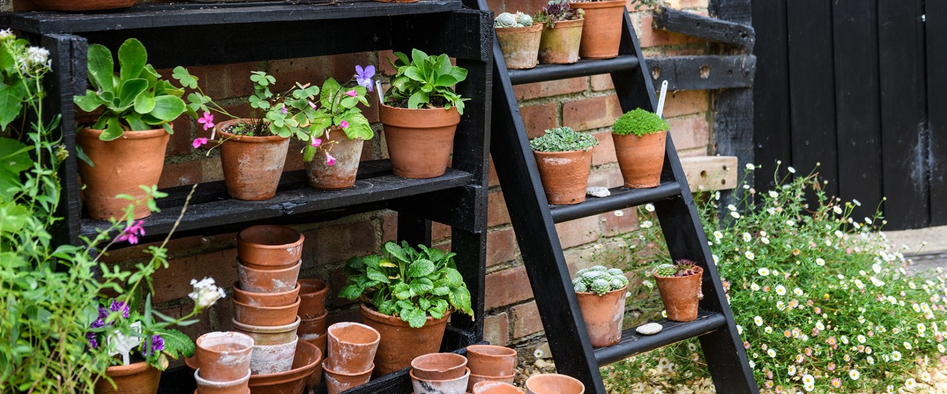 A Guide to Vertical Gardening on Your Patio