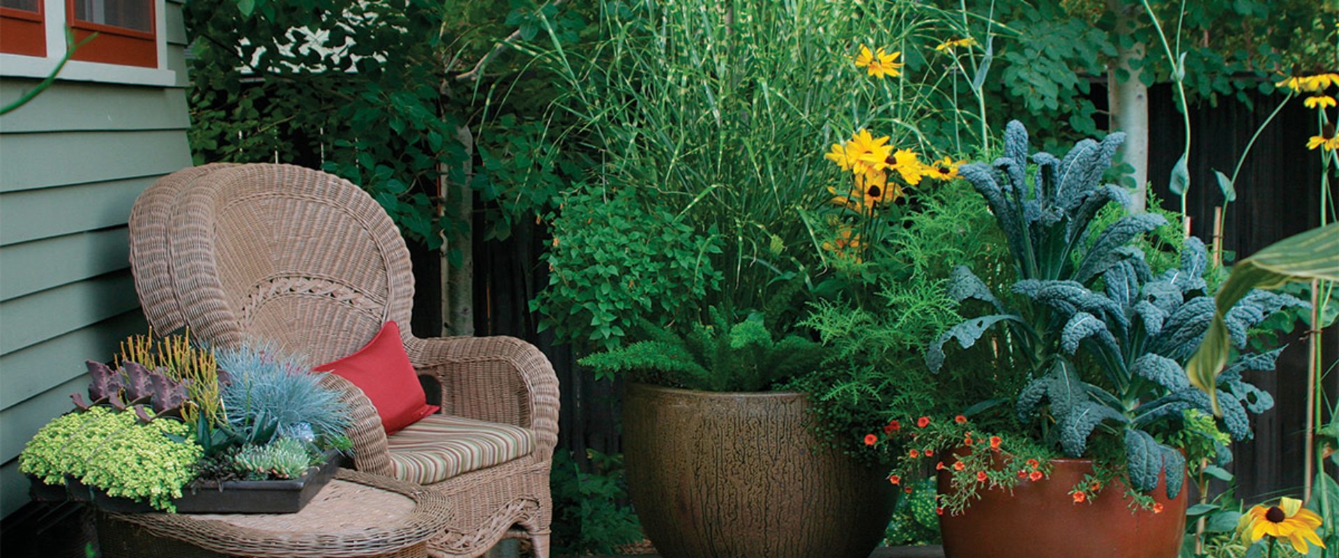 Container Gardening on a Patio: Creating a Functional and Attractive Outdoor Space