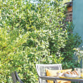 A Complete Guide to Hanging Wall Decor on a Garden Patio