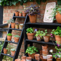 A Guide to Vertical Gardening on Your Patio