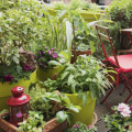 A Guide to Choosing the Perfect Plants for Your Patio