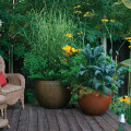Container Gardening on a Patio: Creating a Functional and Attractive Outdoor Space