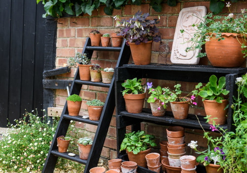 A Guide to Vertical Gardening on Your Patio