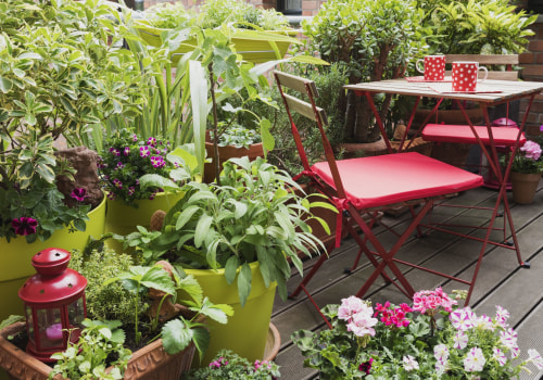 A Guide to Choosing the Perfect Plants for Your Patio