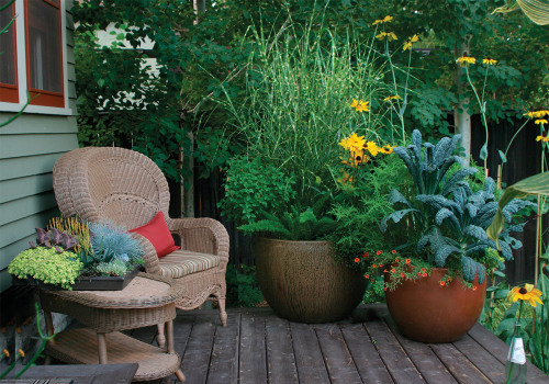 Container Gardening on a Patio: Creating a Functional and Attractive Outdoor Space